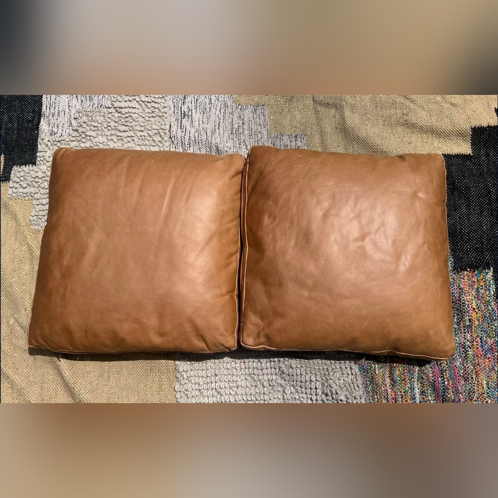 West Elm Brown Accent Pillows